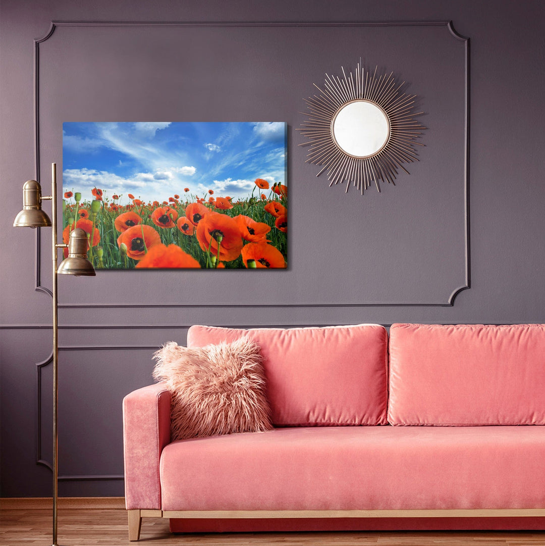 Kanva - Ziedošas magones pļavā 3D, N-1530 X-ART