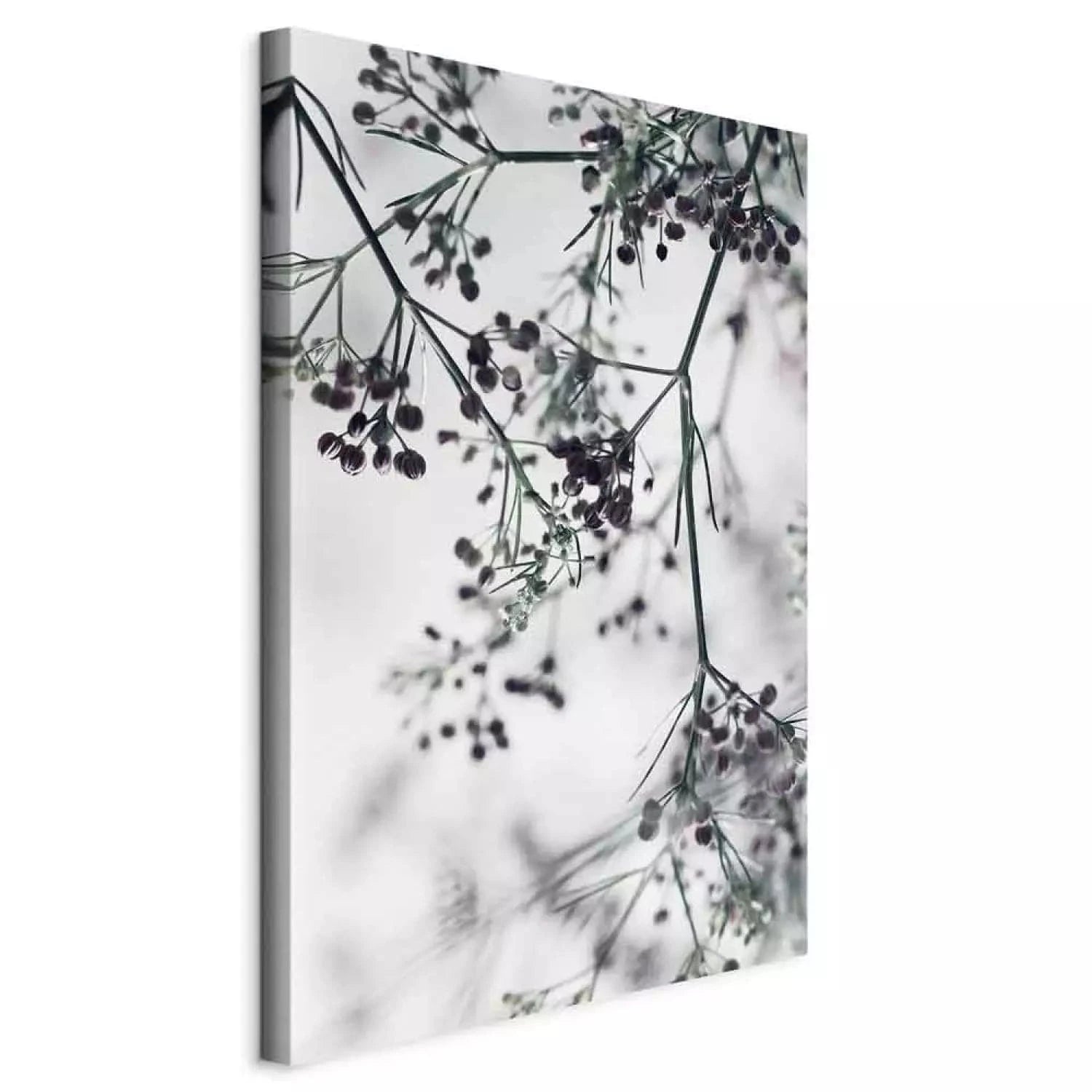 Kanva - Ziedoši zariņi (melnbalta versija),  (x 1), premium druka G-ART