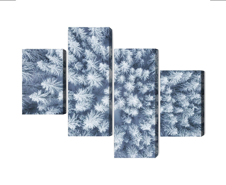 Kanva - Ziemas meža skats no gaisa, N-1922 X-ART