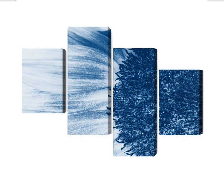 4 daļu kanva: Zila saulespuķe makro X-ART