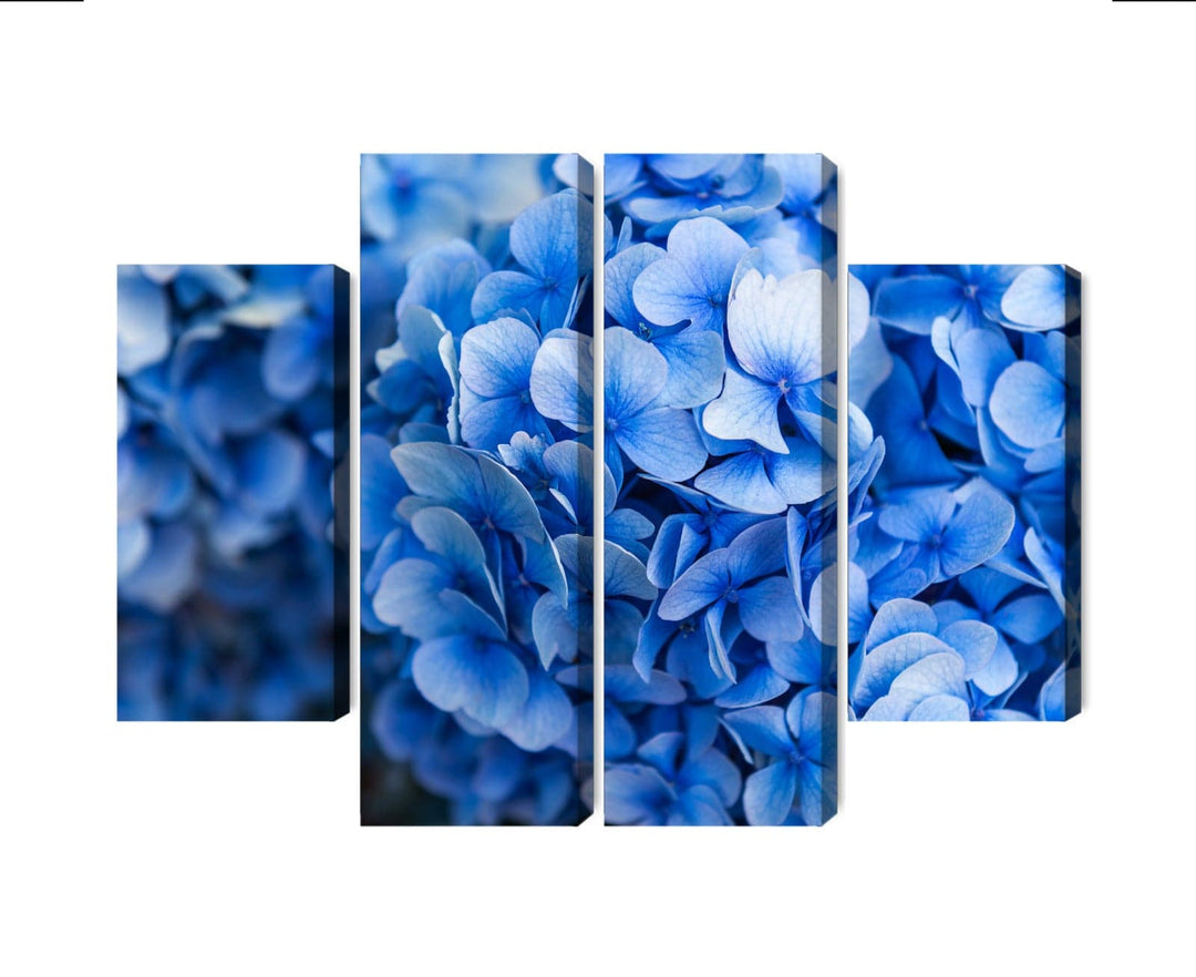 Kanva - Zilas hortenzijas ziedi tuvplānā, N-4136 X-ART