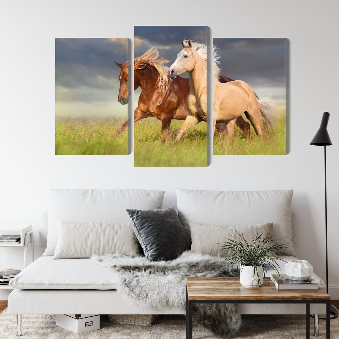 Kanva - Zirgi galopā pļavā, N-4609 X-ART