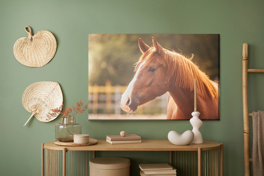 Kanva - Zirgs aplokā X-ART