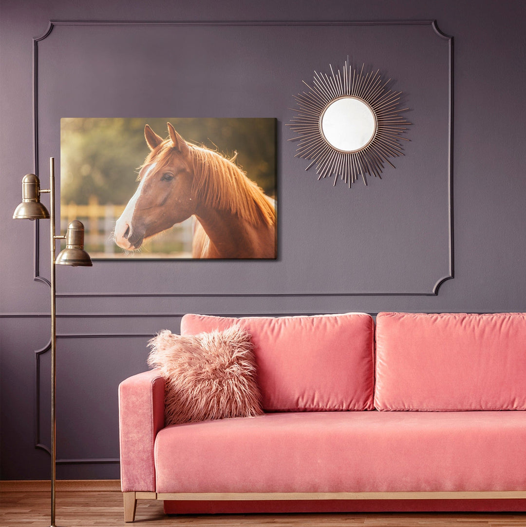 Kanva - Zirgs aplokā X-ART