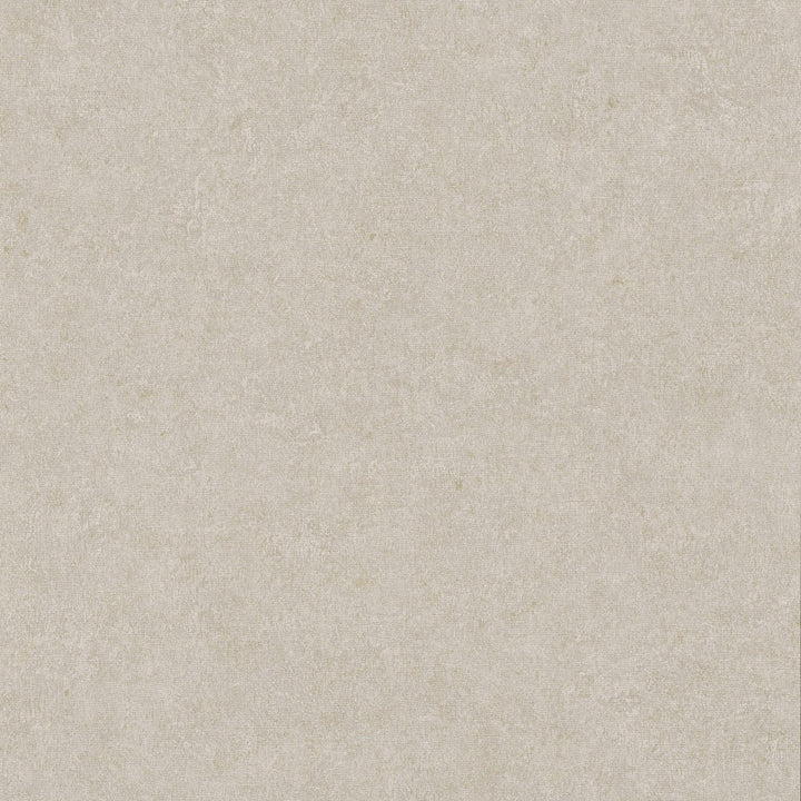 Matētas tapetes taupe krāsā, Erismann, 3765135 Tapetenshop.lv