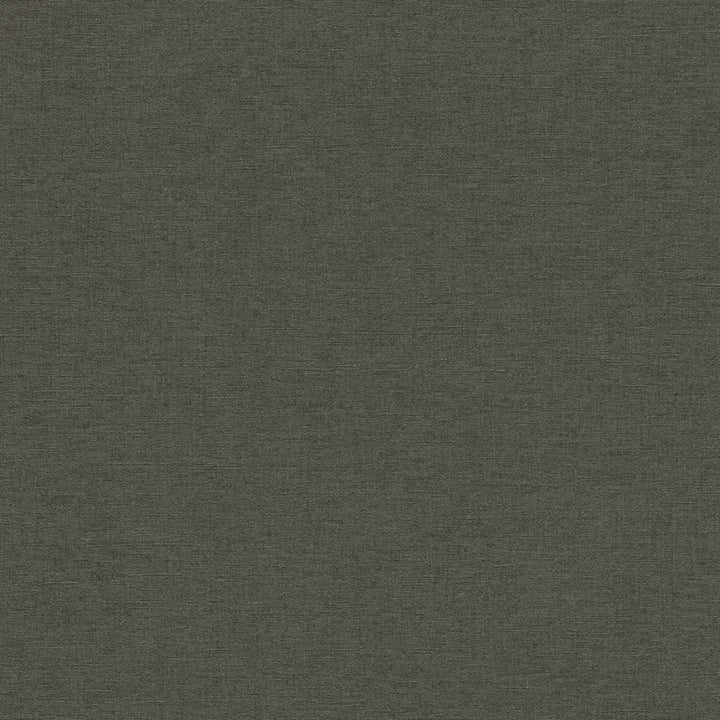 Rasch-tapetit 1556475 | Hiilenharmaa sävy, jossa on hieno kangasrakenne