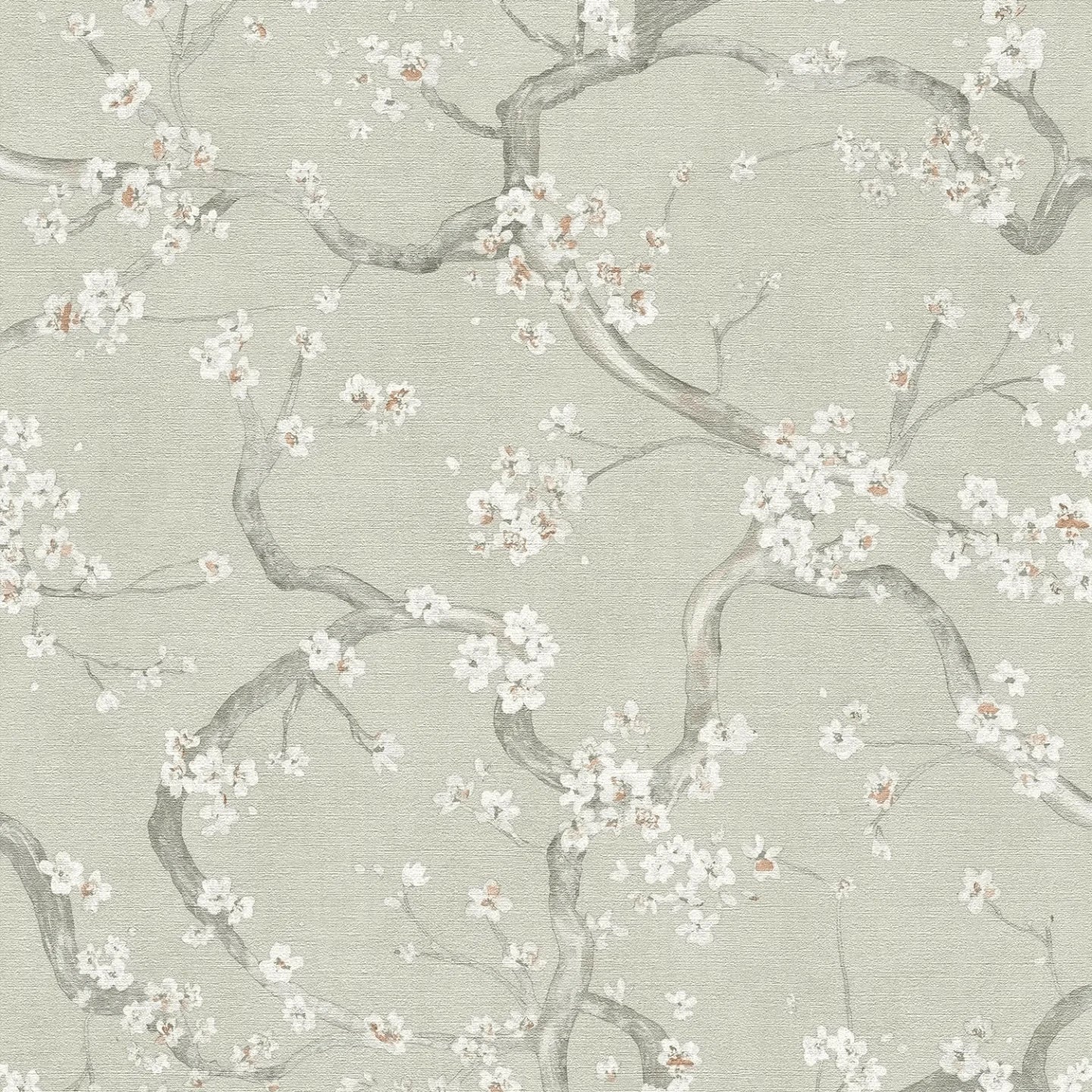 Smalki teksturētas, tapetes ar ķiršu ziedu rakstu - zaļa, pelēka, 781991 AS Creation