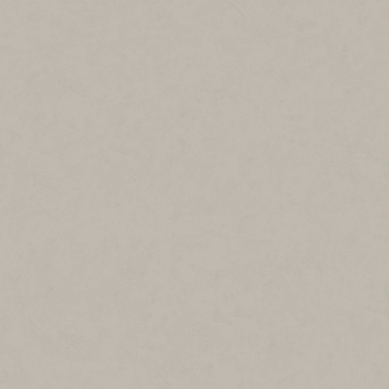 Flizelīna tapetes ar ģipša struktūru gaiši pelēkā krāsā AS 376947 AS Creation