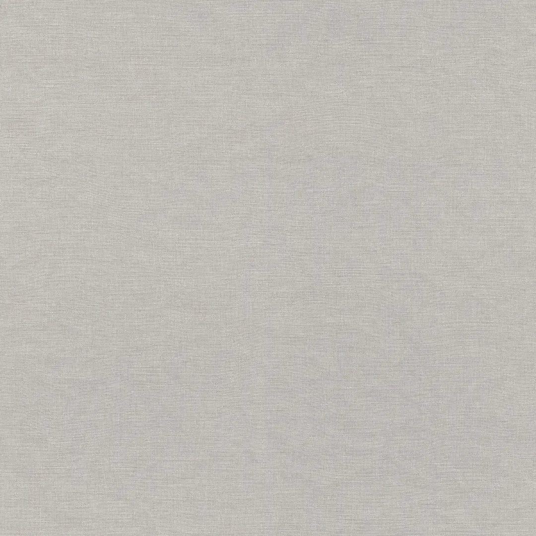 Wallpaper 1612227 | A sophisticated light grey shade with a matt texture
