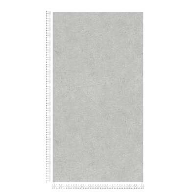 Bodily Non-woven wallpaper AS Creation 95259-2 gray AS Creation