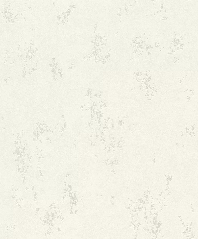 Tapetes ar apmetuma rakstu baltā krāsā ar sudraba akcentiem, 1150473 RASCH
