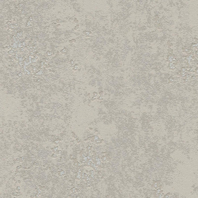 Tapetes ar apmetuma rakstu taupe krāsā ar sudraba akcentiem, 1150511 RASCH