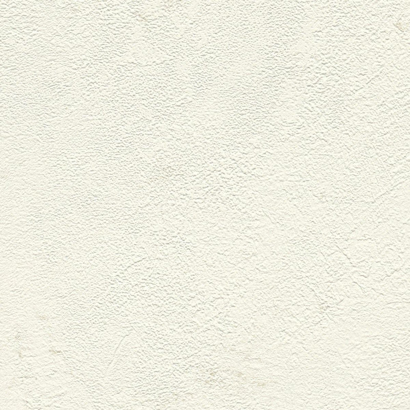 Tapetes ar dekoratīva apmetuma rakstu baltā krāsā, RASCH 1456224 RASCH