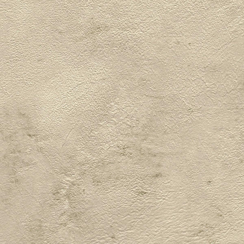 Tapetes ar dekoratīva apmetuma rakstu bēšā krāsā, RASCH 1456301 RASCH