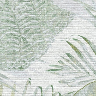 Tapetes ar džungļu rakstu, matētas: zaļa, balta, 1400522 AS Creation