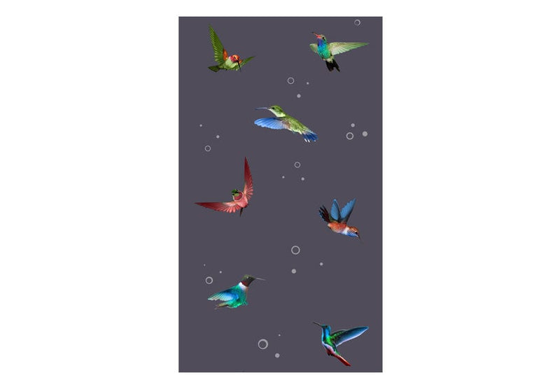 Tapetes ar krāsainiem kolibri uz tumša fona, 95740 G ART