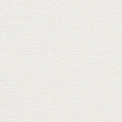 Tapetes ar tekstila faktūru - gaiši krēmkrāsā, 1406411 AS Creation