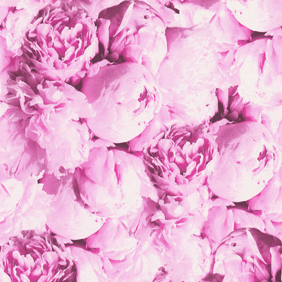 Tapetes ar ziediem koši rozā krāsā, AS Creation 1332335 AS Creation