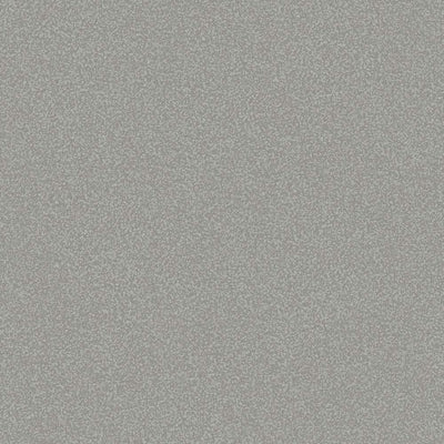 Tapetes tumši pelēkā krāsā ar matētu virsmu AS 368995 AS Creation