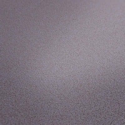 Tapetes ar matētu virsmu baložu pelēkā krāsa AS 368998 AS Creation