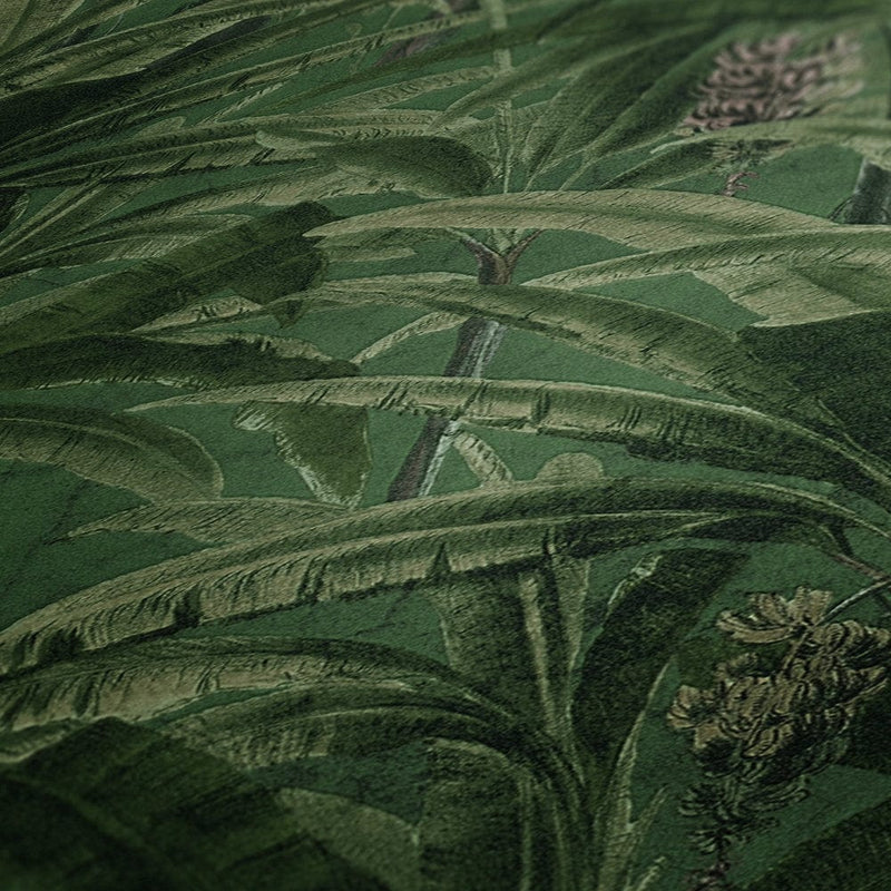 Tapetes banānu palmu un tropu dizainu zaļā krāsā, 1310402 AS Creation
