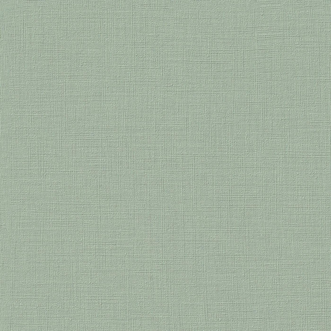 RASCH Wallpaper 2505067 | Soothing sage green shade