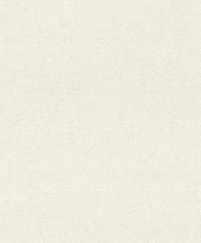 Wallpaper RASCH with fine and texture, white color, 699845 RASCH