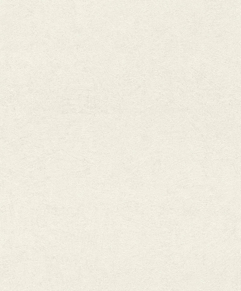 Wallpaper RASCH with fine and texture, white color, 699845 RASCH