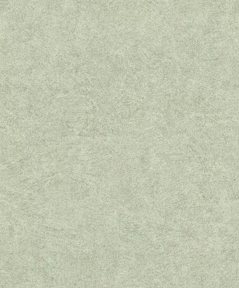 Wallpaper RASCHWith fine and textured, green color, 699821 RASCH