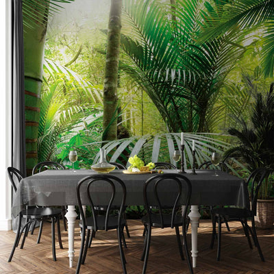 Tropiskas fototapetes ar papardes lapām - Zaļā aleja - 60098  G-ART