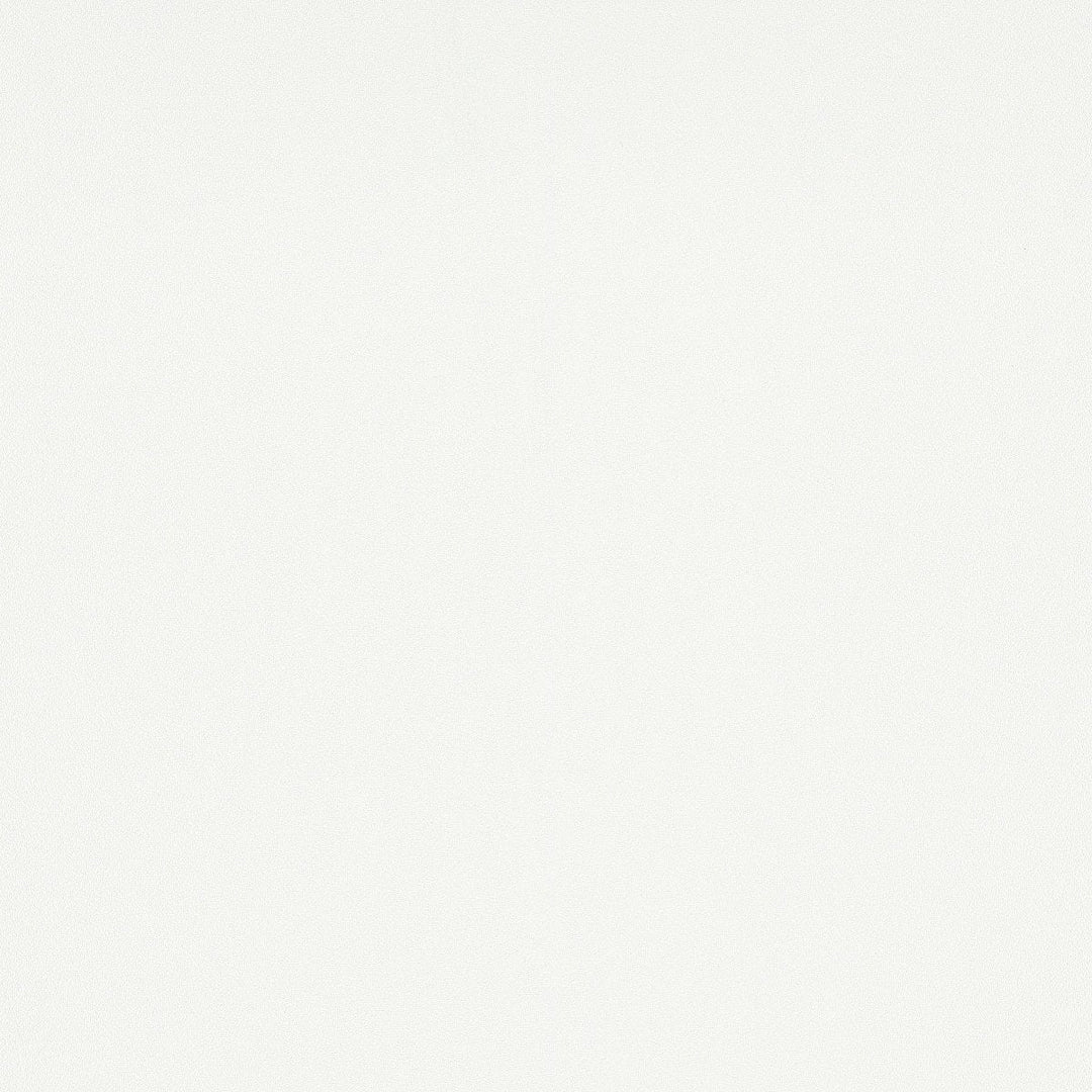 Vienkrāsainas matētas tapetes baltā krāsā, Erismann - 3742435 Erismann