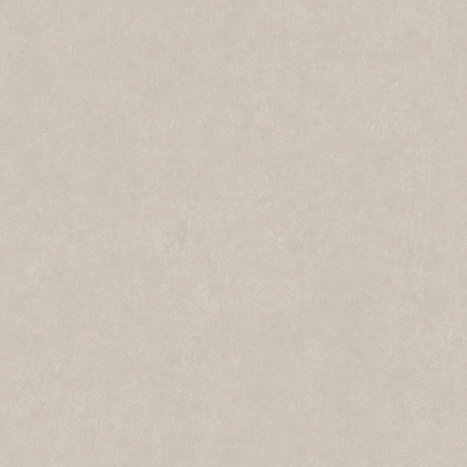 Vienkrāsainas matētas tapetes bēšā toņos - AS Creation 1361634 AS Creation
