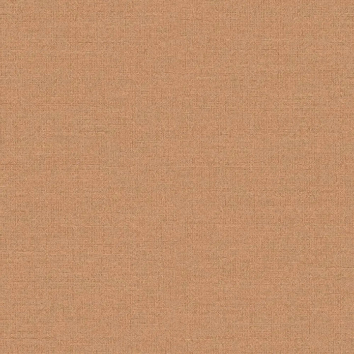 Vienkrāsainas matētas tapetes brūnos toņos, matētas - 1373474 AS Creation