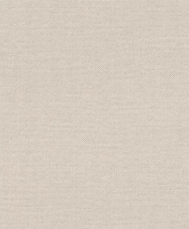 Vienkrāsainas matētas tapetes RASCH,  pelēka-bēša krāsā, 1141514 RASCH