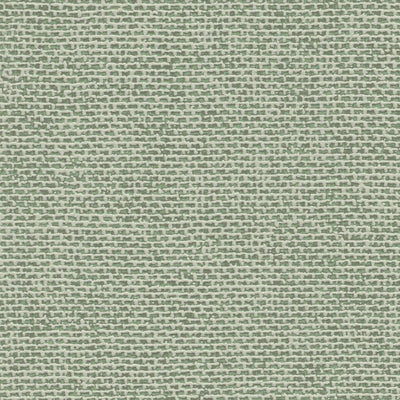 Vienkrāsainas matētas tapetes RASCH, zaļā krāsā, 312218 RASCH