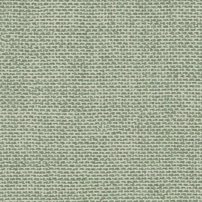Vienkrāsainas matētas tapetes RASCH, zaļā krāsā, 1141632, 🚀ātra piegāde RASCH