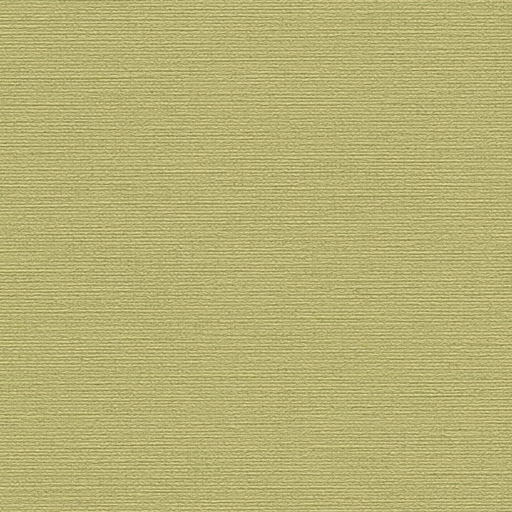 Vienkrāsainas matētas tapetes guļamistabai zaļā krāsā, 1373476 AS Creation