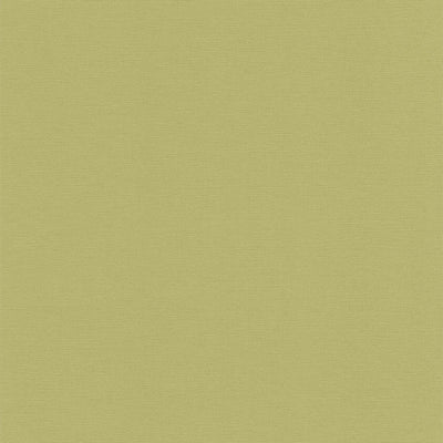 Vienkrāsainas matētas tapetes zaļā krāsā, 1373476 AS Creation