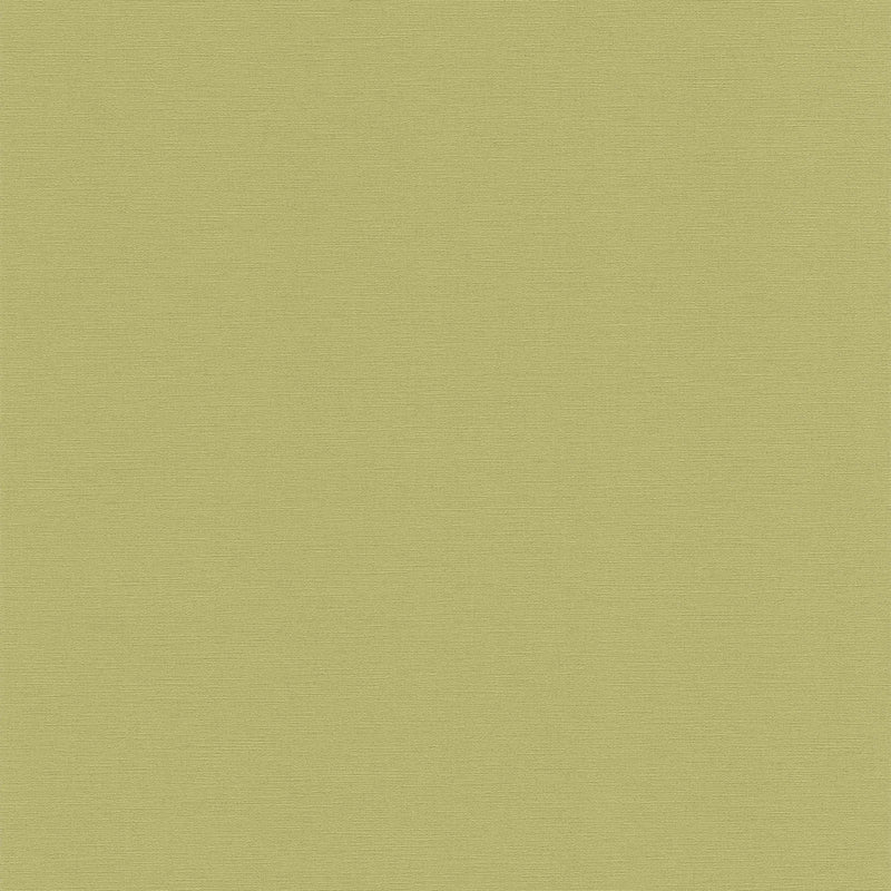 Vienkrāsainas matētas tapetes zaļā krāsā, 1373476 AS Creation