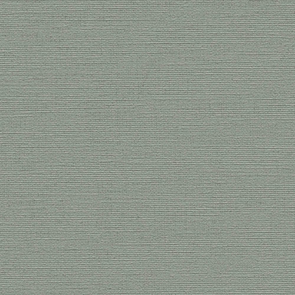 Vienkrāsainas matētas tapetes viesistabai zaļos toņos - 1373500 AS Creation