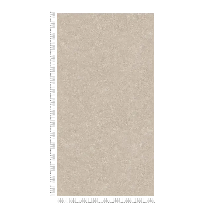 Vienkrāsainas tapete ar dekoratīva apmetuma rakstu, bēšas, 377451 AS Creation