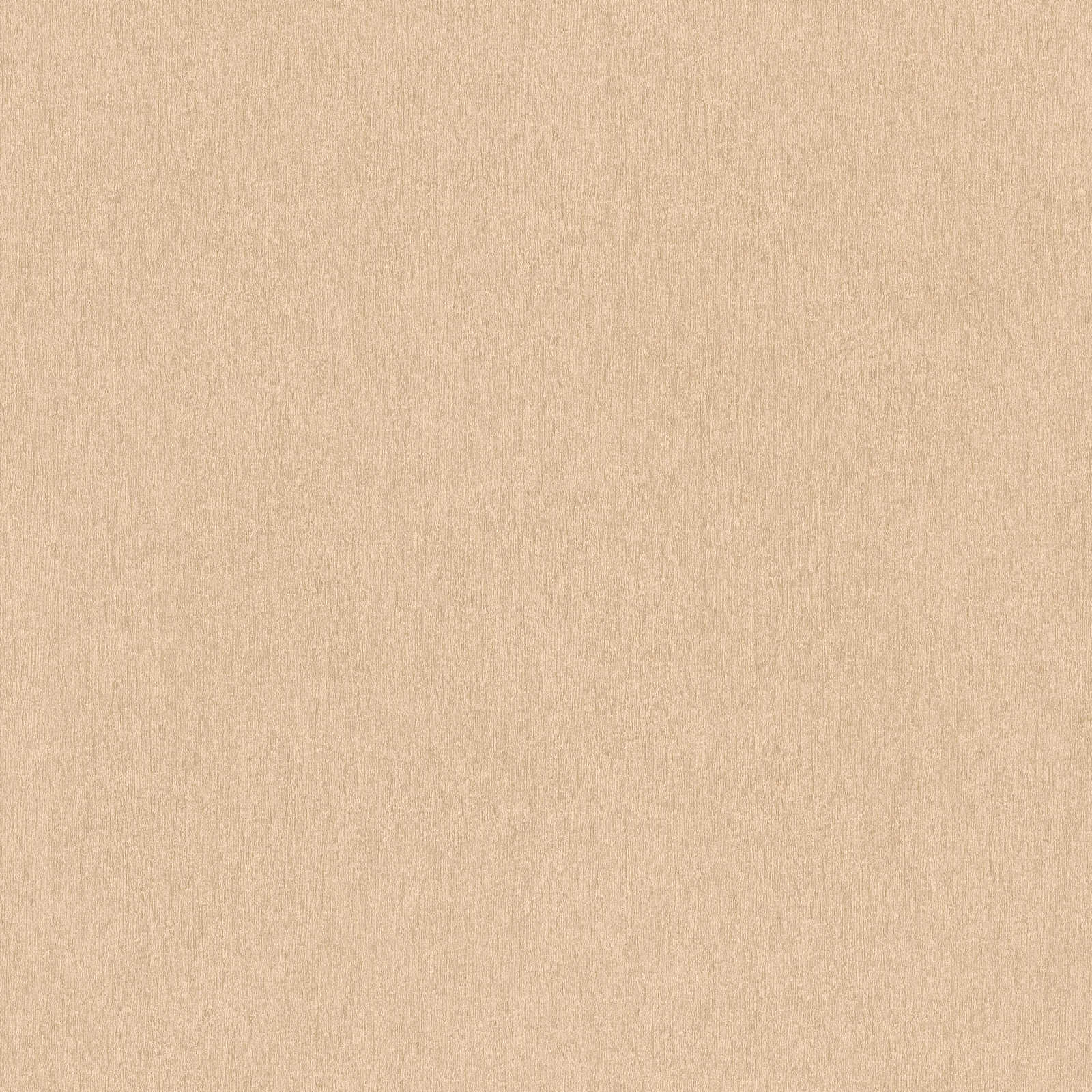 Vienkrāsainas tapetes ar gludu virsmu bēšā krāsā - 1355306 AS Creation