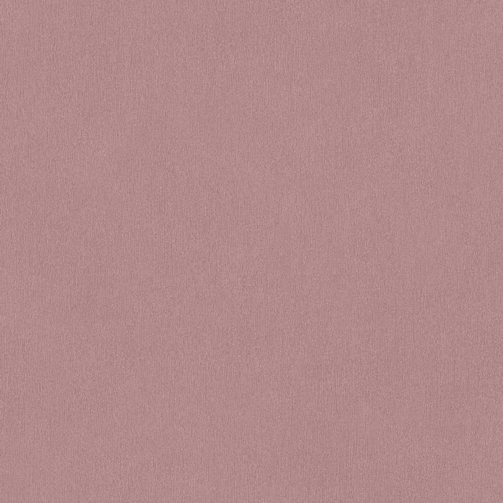 Vienkrāsainas tapetes AS Creation violetā krāsā AS 383730 AS Creation