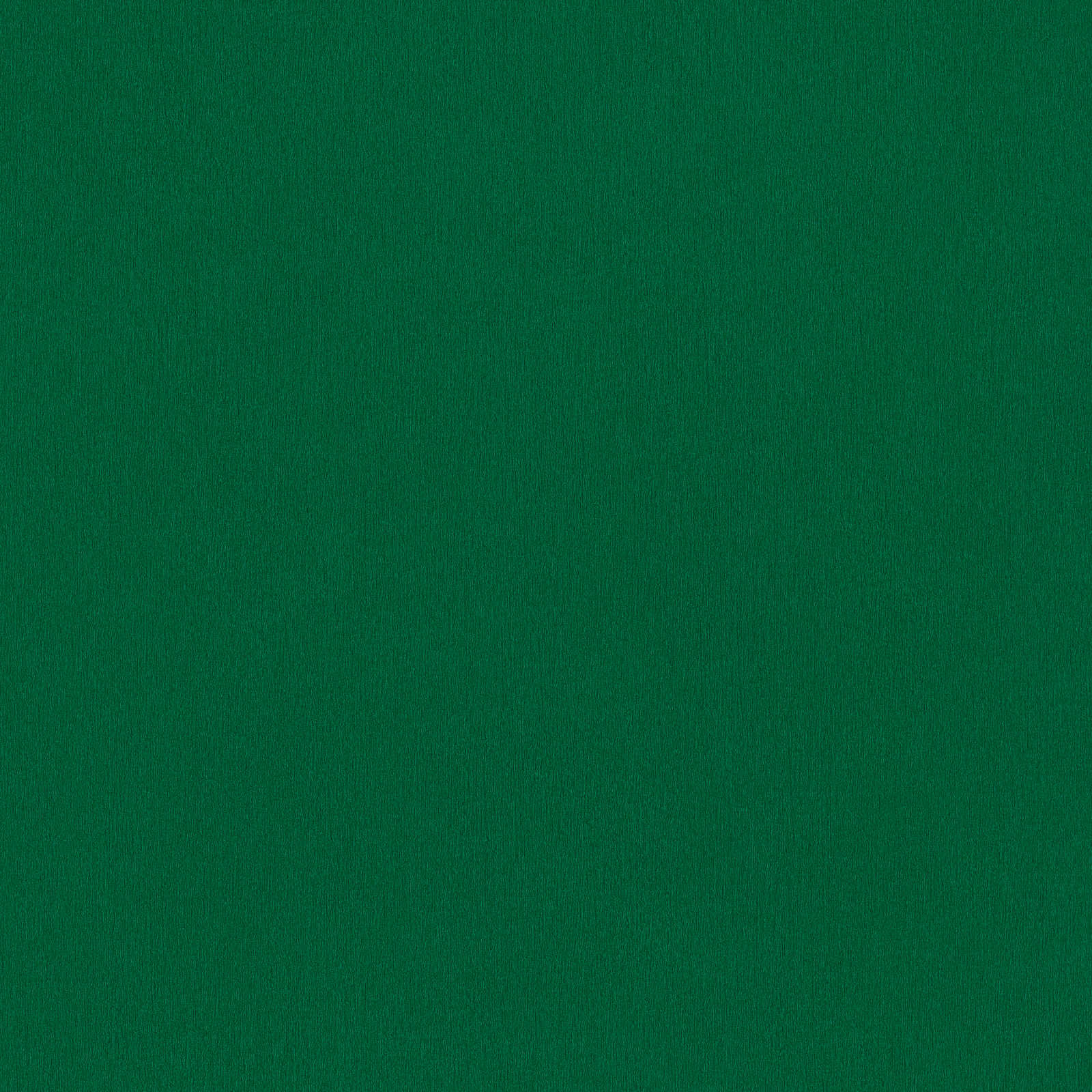 Vienkrāsainas tapetes ar gludu virsmu tumši zaļā krāsā - 1355240 AS Creation