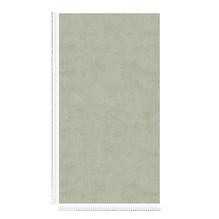 Tapetes ar harmonisku dizainu, matētas - zaļas - 3011743 AS Creation