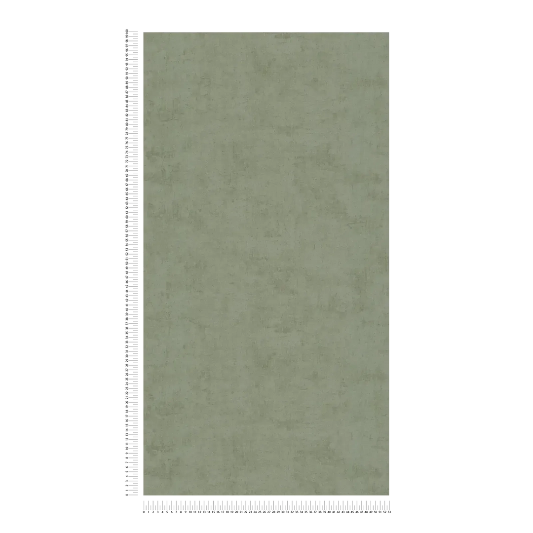 Tapetes ar smalku tekstūru un matētu apdari –  tumši zaļas - 3011742 AS Creation