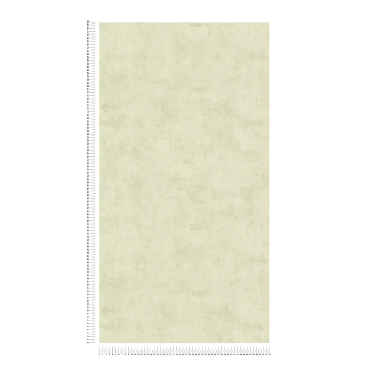 Tapetes ar vieglu faktūru un matētu virsmu – zaļas - 3011744 AS Creation