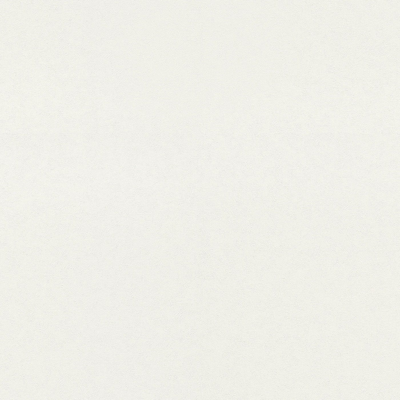 Vienkrāsainas tapetes baltā krāsā, nedaudz spīdīga, 1045401 Erismann