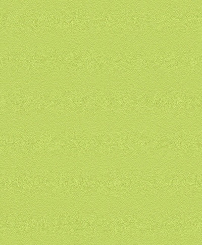 Vienkrāsainas tapetes bērnu istabas zaļā krāsā - 1624053 Erismann