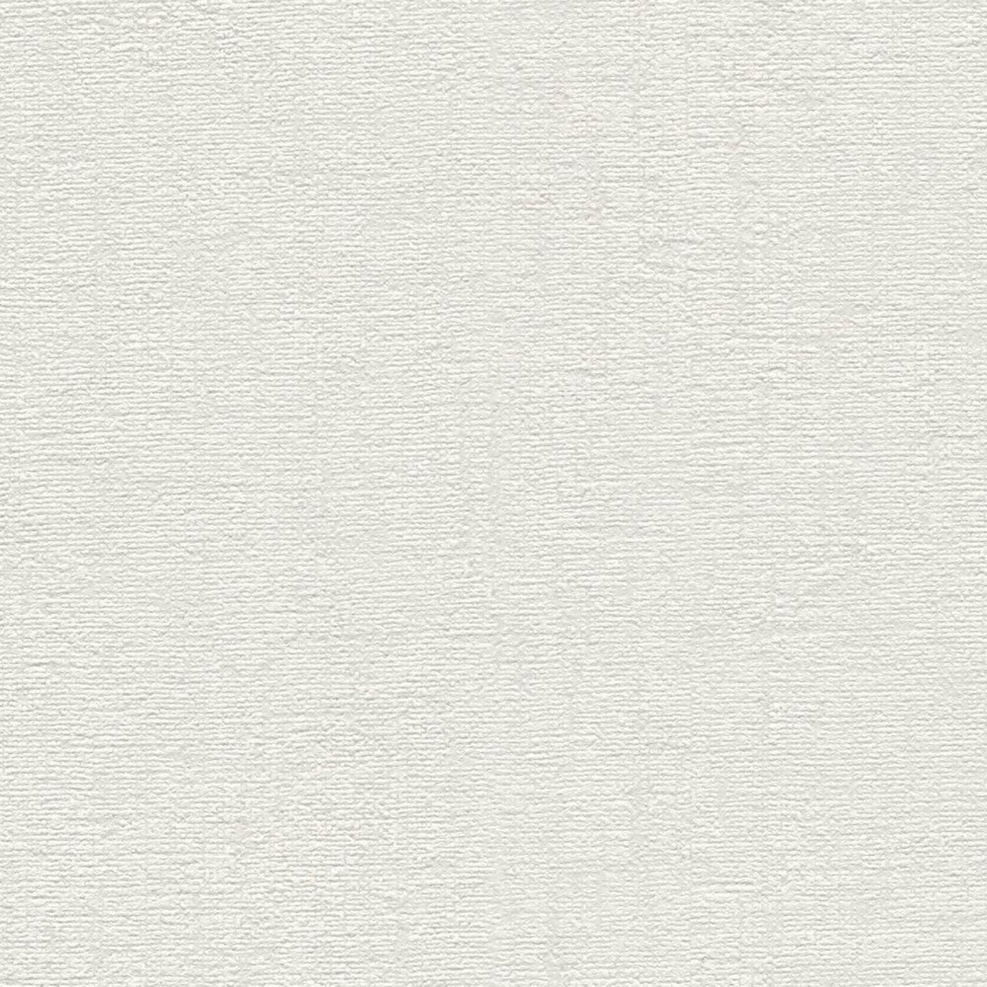 Vienkrāsainas tapetes, matētas, viegli teksturētas, gaišos toņos - 393396 AS Creation